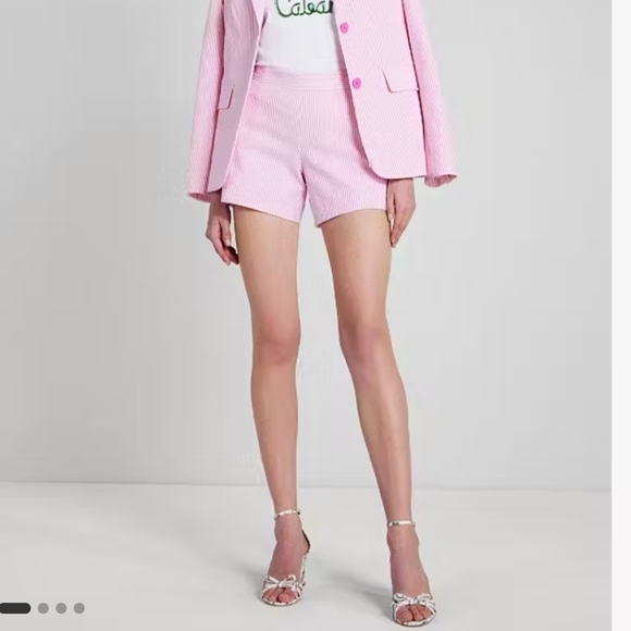 Kate Spade Pink Striped Seersucker Shorts 12 Side Zip Flat Front Pockets - Picture 2 of 9